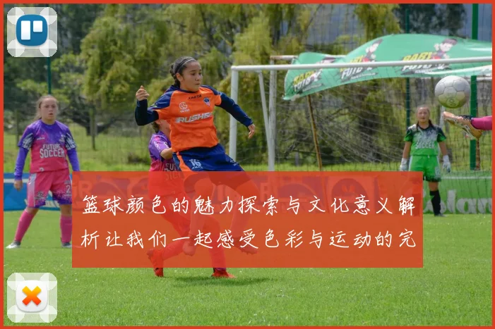 篮球颜色的魅力探索与文化意义解析让我们一起感受色彩与运动的完美结合